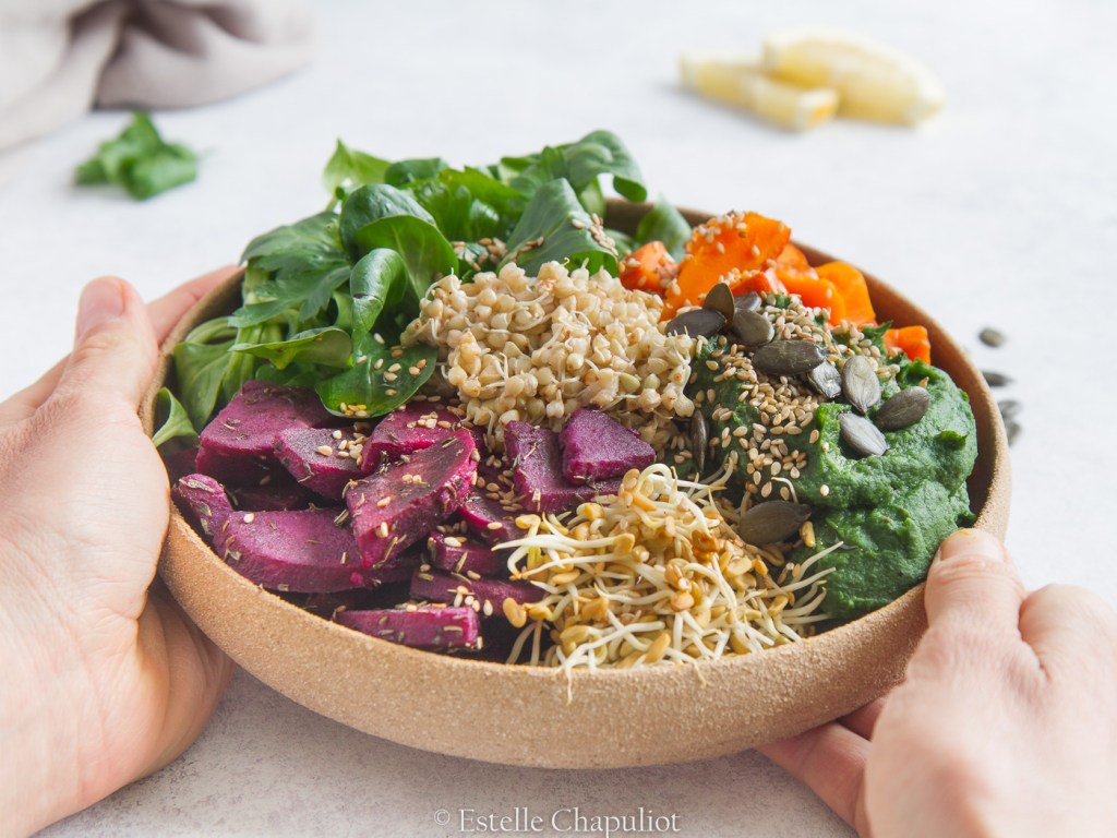 Assiette colorée : graines germées, purée panais-épinards, patate douce violette, potimarron, sarrasin germé, salade (vegan et sans gluten)