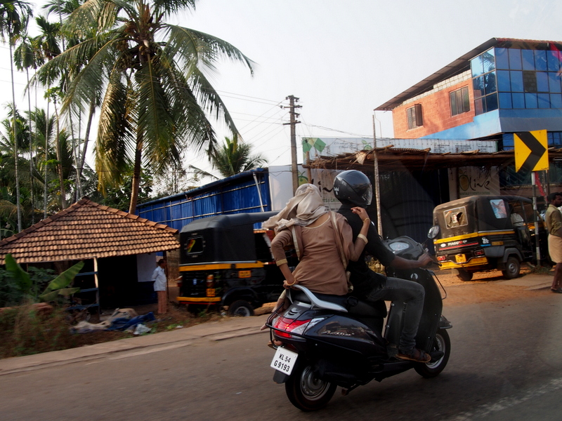 Un mois au Kerala - Immersion ayurvédique en Inde