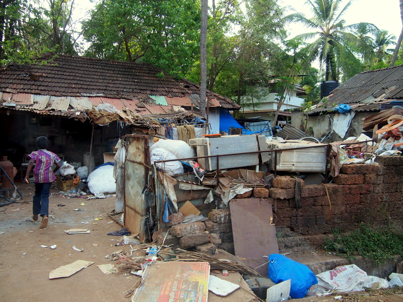 Un mois au Kerala - Immersion ayurvédique en Inde