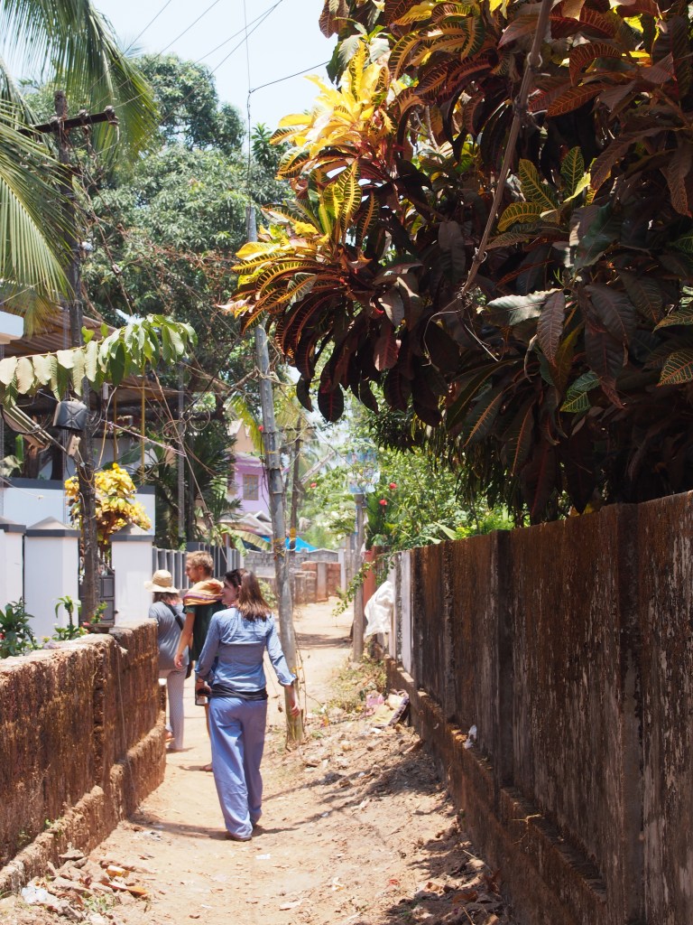 Un mois au Kerala - Immersion ayurvédique en Inde