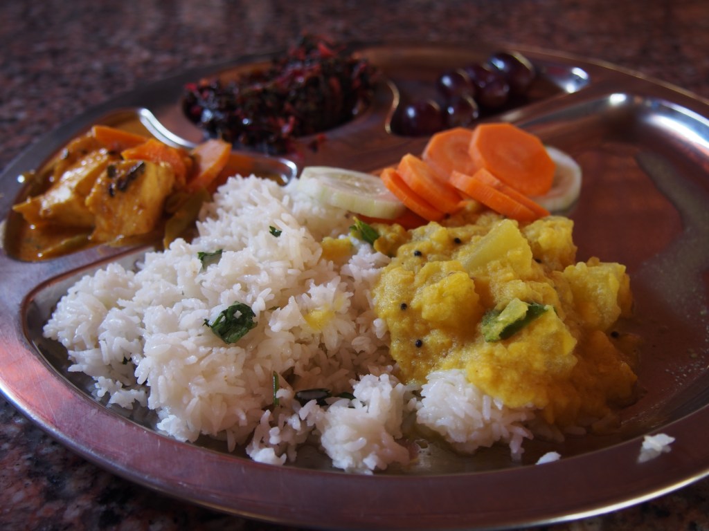 Un mois au Kerala - Immersion ayurvédique en Inde