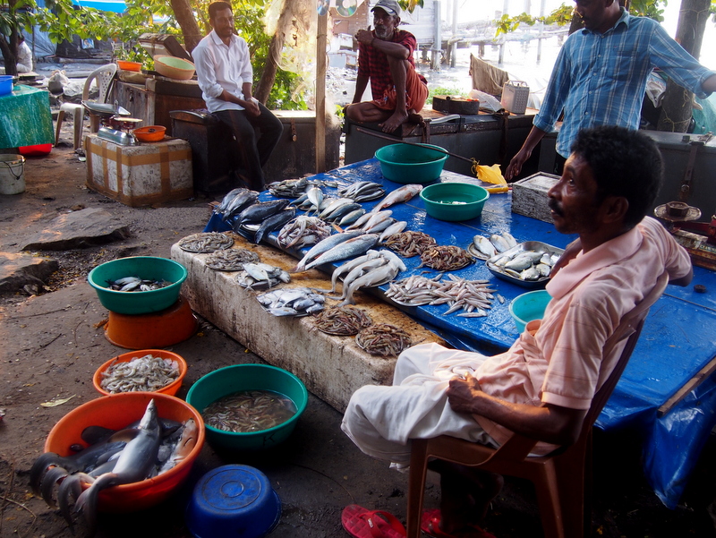 Un mois au Kerala - Immersion ayurvédique en Inde