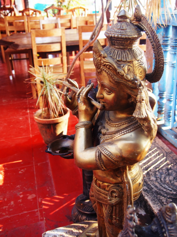 Un mois au Kerala - Immersion ayurvédique en Inde