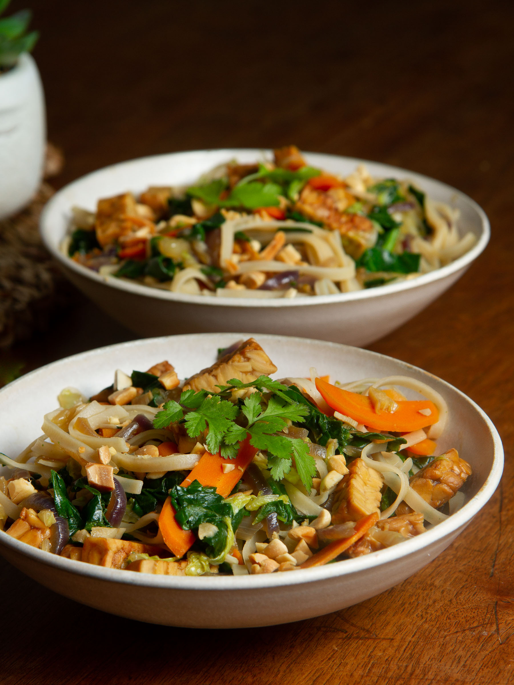 Tagliatelles de riz complet au tempeh, tamari, légumes (carotte, chou, épinards, coriandre) et cacahuète (vegan, sans gluten)